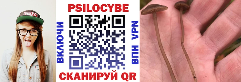 Купить закладки  Сланцы  Псилоцибиновые грибы Psilocybine cubensis 
